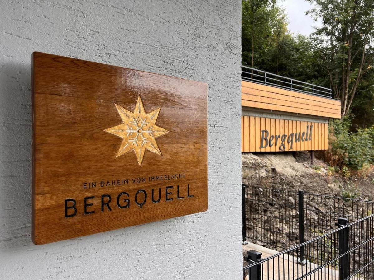 Haus Bergquell App 2 Leilighet Willingen  Eksteriør bilde